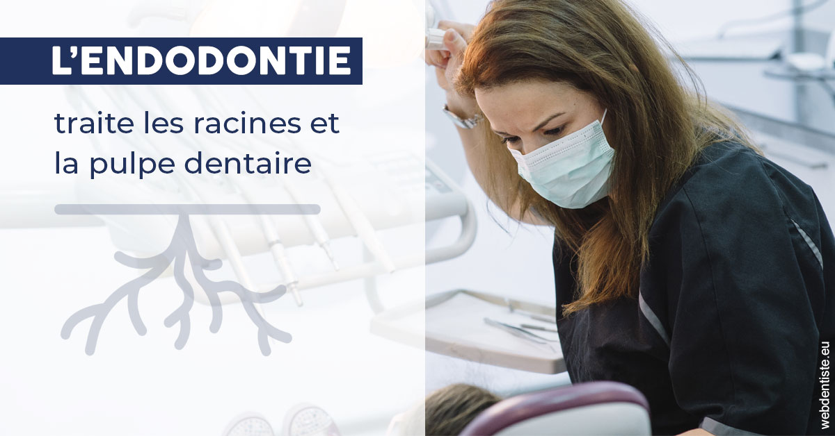 https://selarl-dentiste-drs-aouizerate.chirurgiens-dentistes.fr/L'endodontie 1