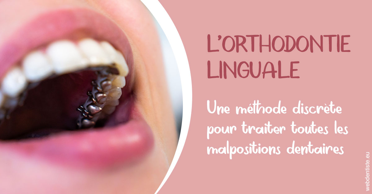 https://selarl-dentiste-drs-aouizerate.chirurgiens-dentistes.fr/L'orthodontie linguale 2