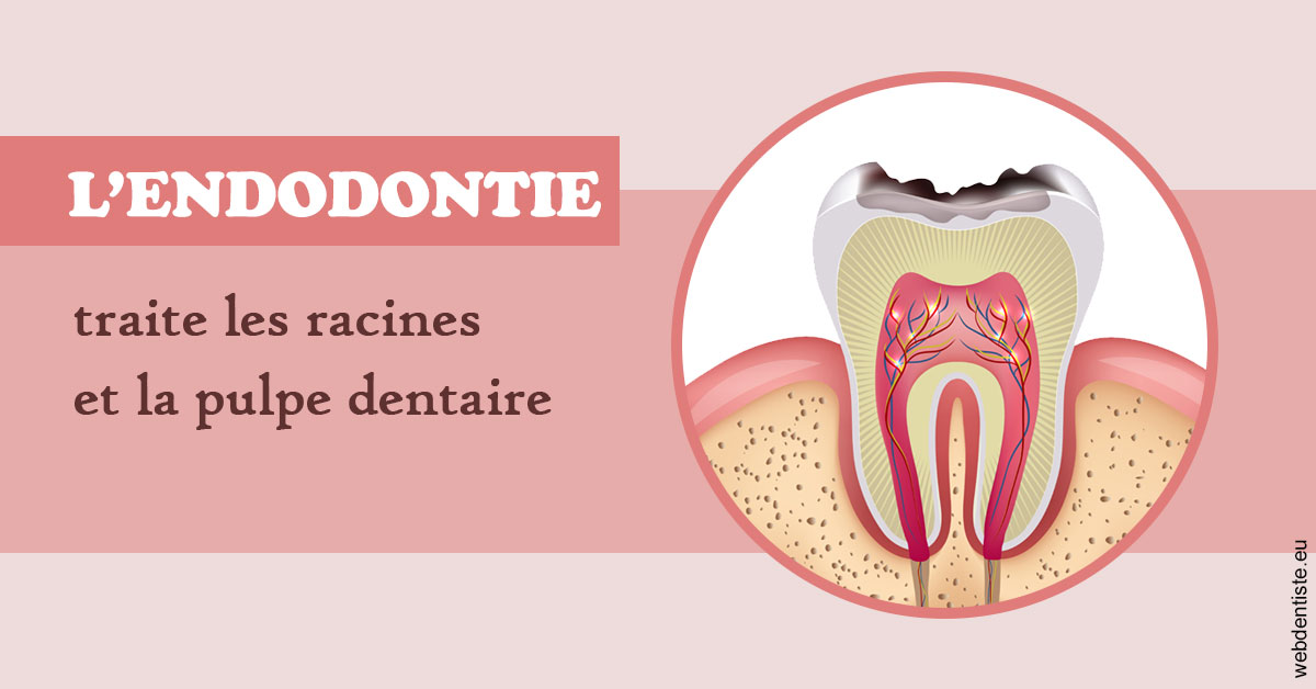 https://selarl-dentiste-drs-aouizerate.chirurgiens-dentistes.fr/L'endodontie 2