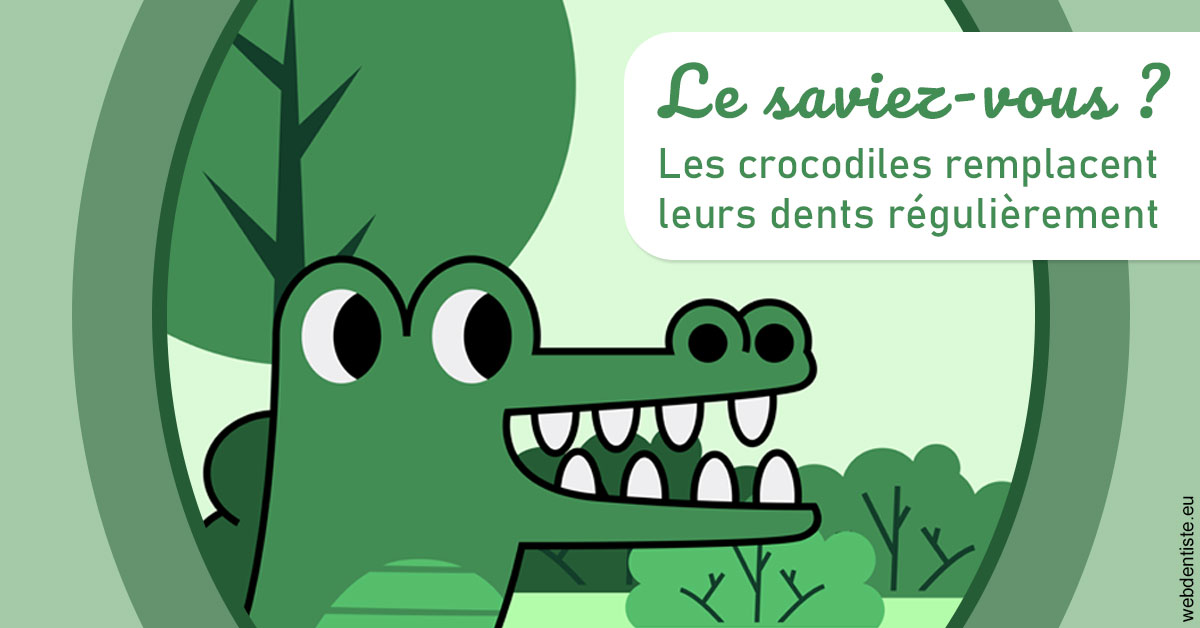 https://selarl-dentiste-drs-aouizerate.chirurgiens-dentistes.fr/Crocodiles 2