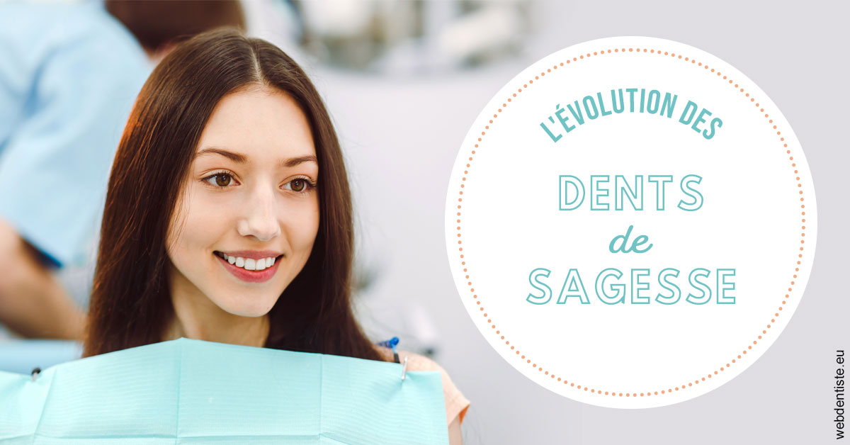 https://selarl-dentiste-drs-aouizerate.chirurgiens-dentistes.fr/Evolution dents de sagesse 2