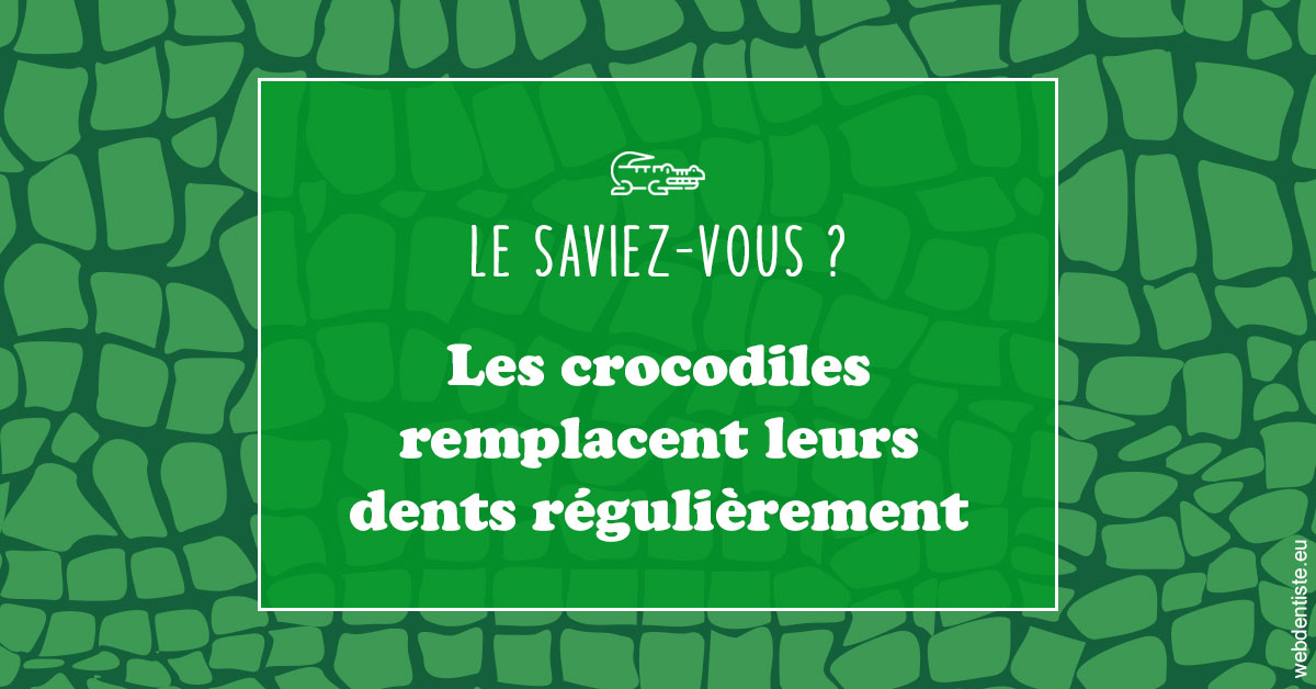 https://selarl-dentiste-drs-aouizerate.chirurgiens-dentistes.fr/Crocodiles 1